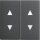 Gira 115028 Wippe 2-fach Pfeilsymbole System 55 Anthrazit