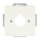 Busch-Jaeger 2533-82 Zentralscheibe mit Tragring...