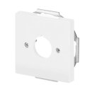 Busch-Jaeger 2533-84 Zentralscheibe mit Tragring...