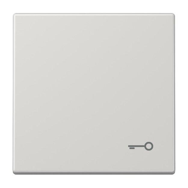 Jung LS990TLG Wippe m. Symbol "Tuer" Lichtgrau Serie LS