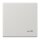 Jung LS990TLG Wippe m. Symbol "Tuer" Lichtgrau Serie LS