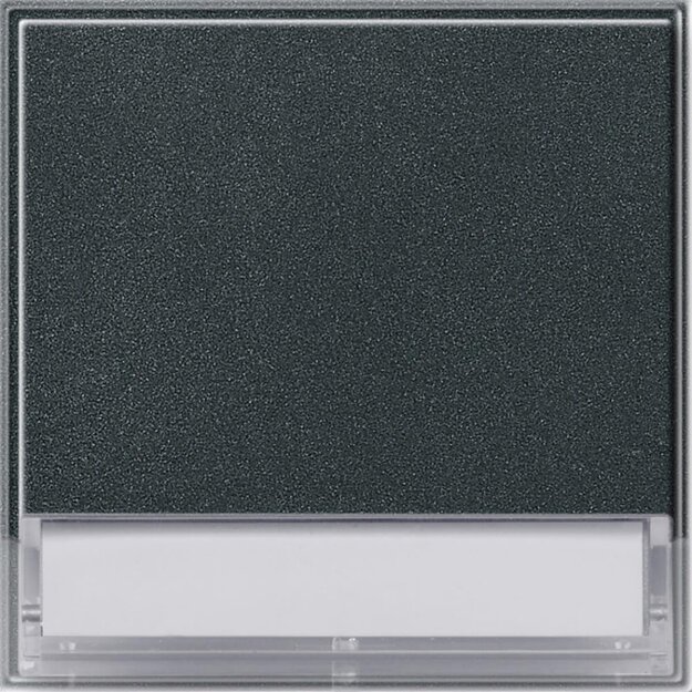 Gira 067667 Wippe Beschriftungsfeld Gira TX_44 (WG UP) Anthrazit