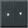Gira 029467 Wippe 2-fach Pfeilsymbol Gira TX_44 (WG UP) Anthrazit