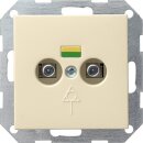 Gira 040501 Potenzialausgleich-Dose 2-fach System 55...