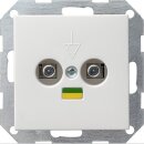 Gira 040503 Potenzialausgleich-Dose 2-fach System 55...