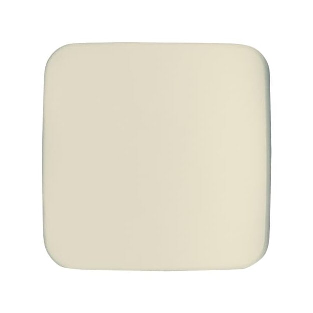 Busch-Jaeger 1790-580-212 Zentralscheibe Cremeweiß Busch-Duro 2000® SI 2CKA001710A2835