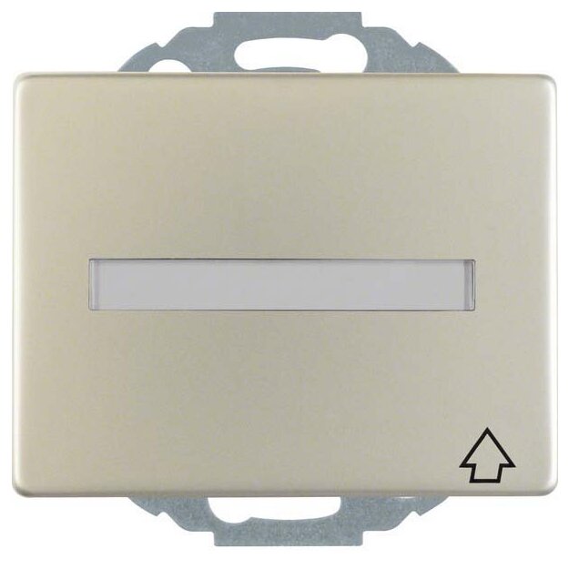 Berker 47487104 Steckdose SCHUKO mit Klappdeckel und Beschriftungsfeld K.5 Edelstahl rostfrei