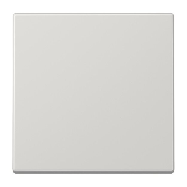Jung ENOLS990LG EnOcean Funk-Wandsender 2-kanalig Serie LS Lichtgrau