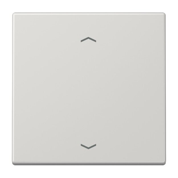 Jung ENOLS990PLG EnOcean Funk-Wandsender 2-kanalig mit Symbol Pfeil Serie LS Lichtgrau