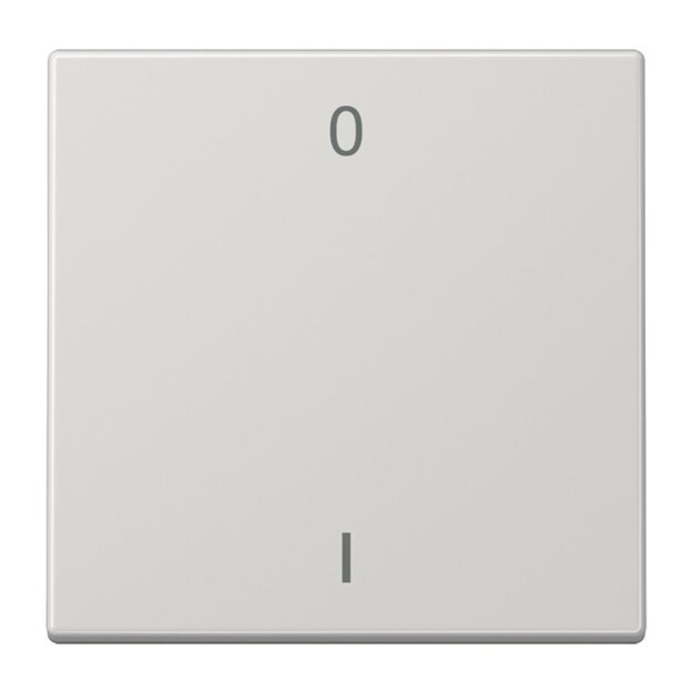 Jung ENOLS990-01LG EnOcean Funk-Wandsender 2-kanalig mit Symbol 01 Serie LS Lichtgrau