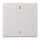 Jung ENOLS990-01LG EnOcean Funk-Wandsender 2-kanalig mit Symbol 01 Serie LS Lichtgrau