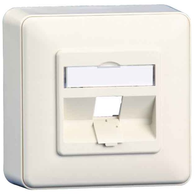 BTR NETCOM Anschlussdose E-DAT 1309140002-E rws