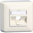 BTR NETCOM Anschlussdose E-DAT 1309140002-E rws