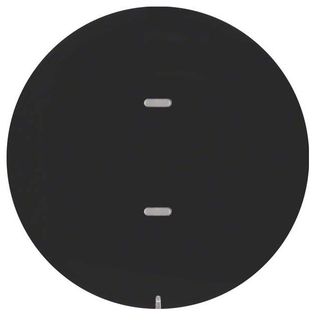Berker 75161865 Tast-Abdeckung 1-fach für Tastsensor-Modul R.1/R.3 Schwarz glänzend