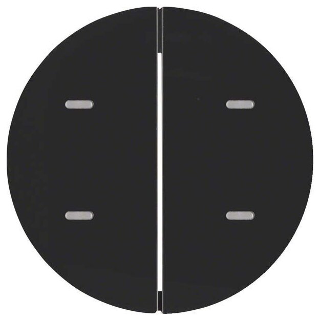 Berker 75162865 Tast-Abdeckung 2-fach für Tastsensor-Modul R.1/R.3 Schwarz glänzend