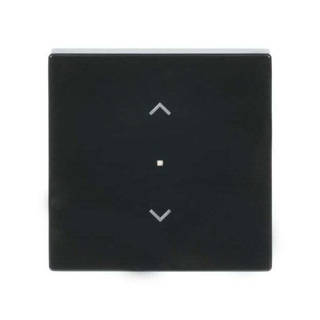 Busch-Jaeger 6232-10-81 Wippe 1-fach, mit Symbol "Jalousie" (Thermoplast) Anthrazit 2CKA006220A0038