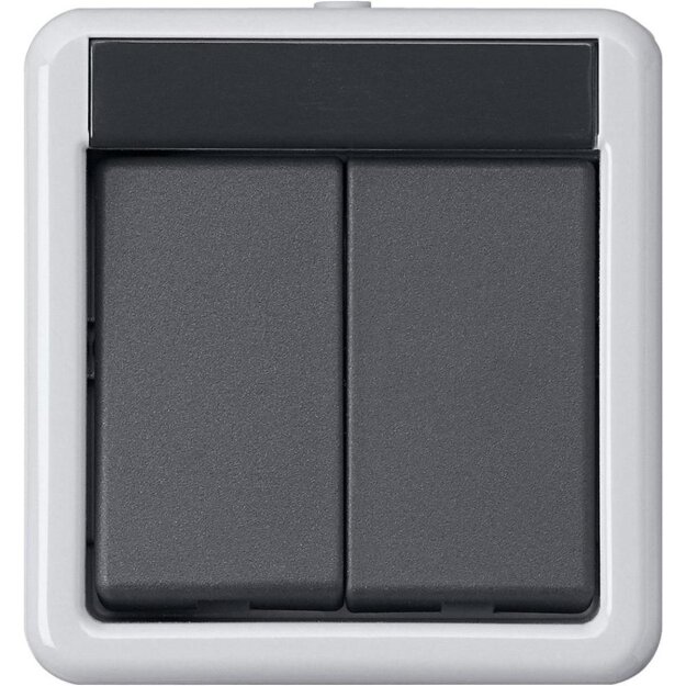 Gira 516130 KNX Taster-Busankoppler 2-fach 1-Punkt WG AP Grau