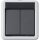 Gira 516130 KNX Taster-Busankoppler 2-fach 1-Punkt WG AP Grau