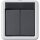 Gira 516230 KNX Taster-Busankoppler 2-fach 2-Punkt WG AP Grau
