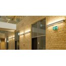 ESYLUX EN10061813 Notleuchte mit 3 h / 8 h Notlichtdauer 23 m EKW (DIN/EN) Deckenaufbaumontage LED Fail-Safe-Kontakt selbstüberwachend SLE EL LED 3h/8h 23m IR SC/C SM Weiß