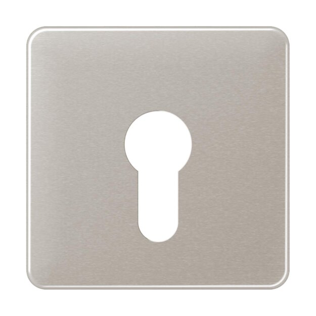Jung CD525PT Abdeckung f. Schluesselschalter flach (Aluminium eloxiert) Platin Serie CD