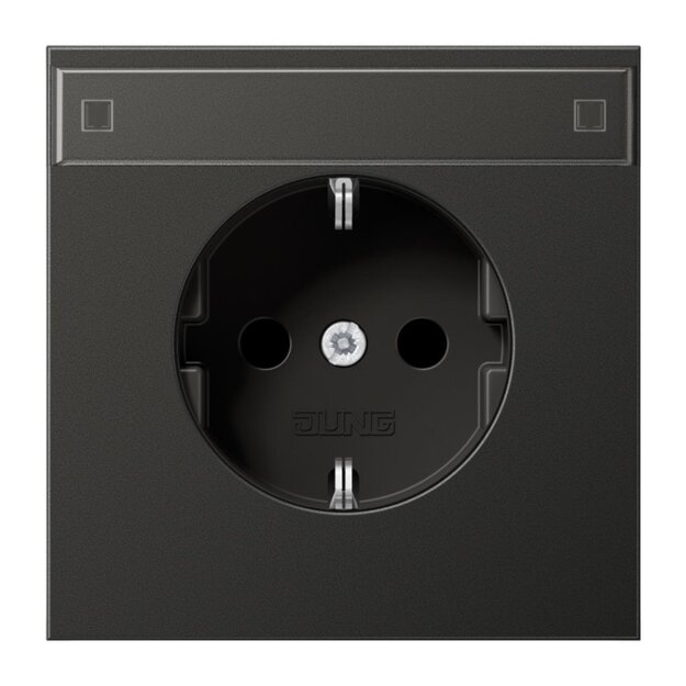 Jung AL1520KINAAN SCHUKO Steckdose m.Schriftfeld KI (lackiertes Aluminium) Anthrazit Serie LS