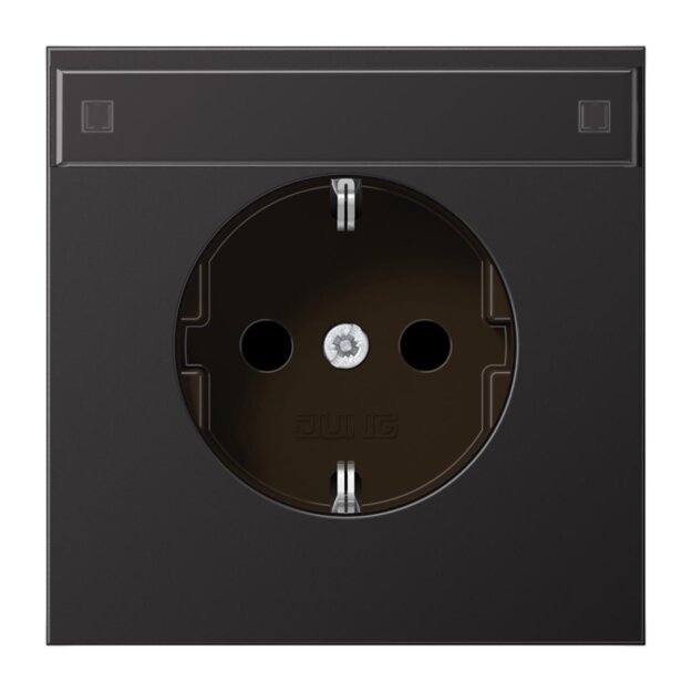Jung AL1520NAD SCHUKO Steckdose m.Schriftfeld  (lackiertes Aluminium) Dark Serie LS