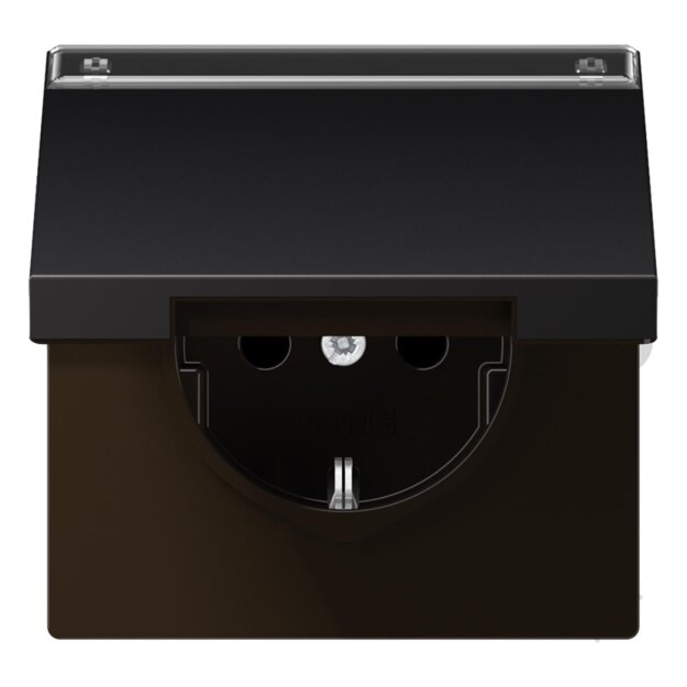 Jung AL1520NAKLD SCHUKO Steckdose m.Schriftfeld u.Klappdeckel (lackiertes Aluminium) Dark Serie LS