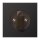 Jung AL1941D Abdeckung f. Drehschalter (lackiertes Aluminium) Dark Serie LS