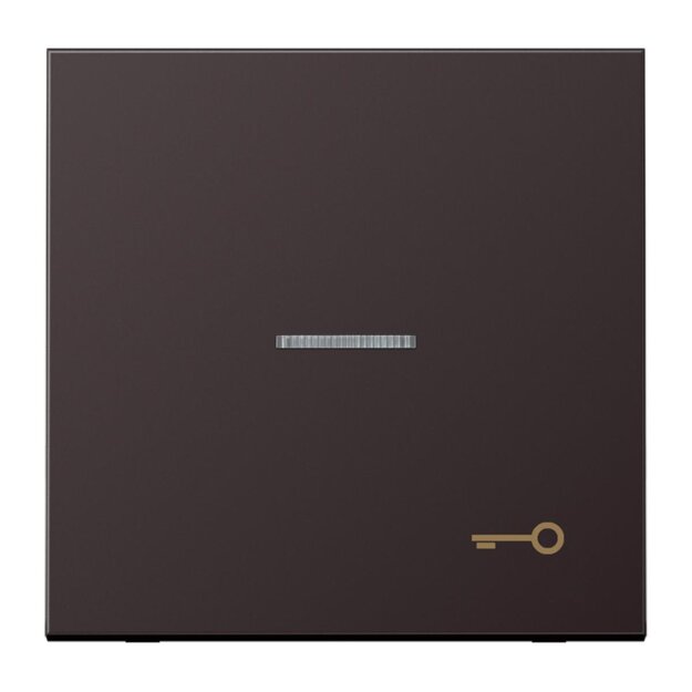 Jung AL2990KO5TD Wippe m. Symbol "Tuer" KO (lackiertes Aluminium) Dark Serie LS