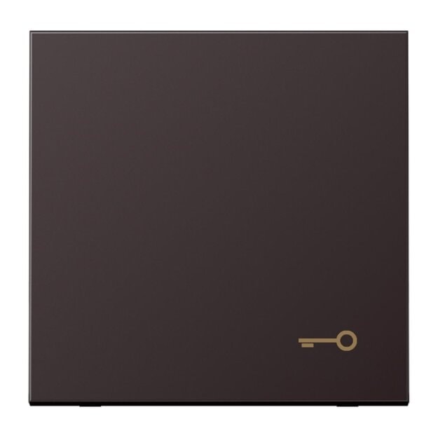 Jung AL2990TD Wippe m. Symbol "Tuer" (lackiertes Aluminium) Dark Serie LS