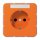 Jung CD1520BFNAO SCHUKO Steckdose m.Schriftfeld  (Thermoplast bruchsicher) Orange Serie CD