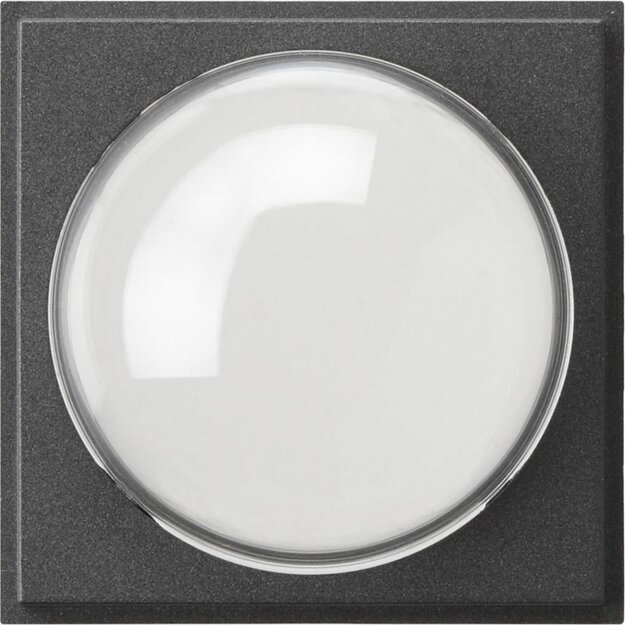 Gira 141567 Abdeckung Farbkamera Gira TX_44 Anthrazit