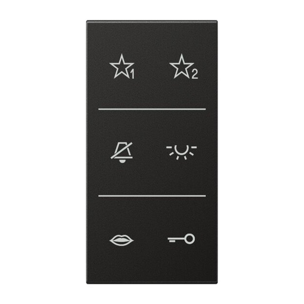 Jung SIA6ALDCAN Audio-Design-Cover (lackiertes Aluminium) Anthrazit Serie LS