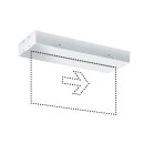 ESYLUX EN10077319 Notleuchte 8 h Rettungswegkennzeichnung...