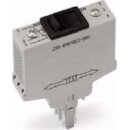 WAGO Kontakttechnik Relaisstecker 286-895