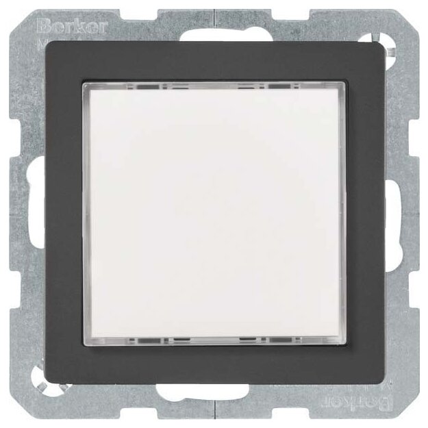 Berker 29536086 LED-Signallicht Weiße Beleuchtung Q.1/Q.3 Anthrazit samt