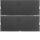 Berker 80162776 Tastsensor 2-fach Komfort mit Beschriftungsfeld KNX K.1 Anthrazit matt lackiert
