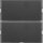 Berker 80162785 Tastsensor 2-fach Komfort mit Beschriftungsfeld KNX S.1/B.x Anthrazit/Alu