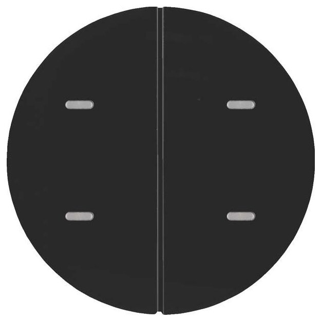 Berker 80162865 Tastsensor 2-fach Komfort KNX R.x Schwarz glänzend