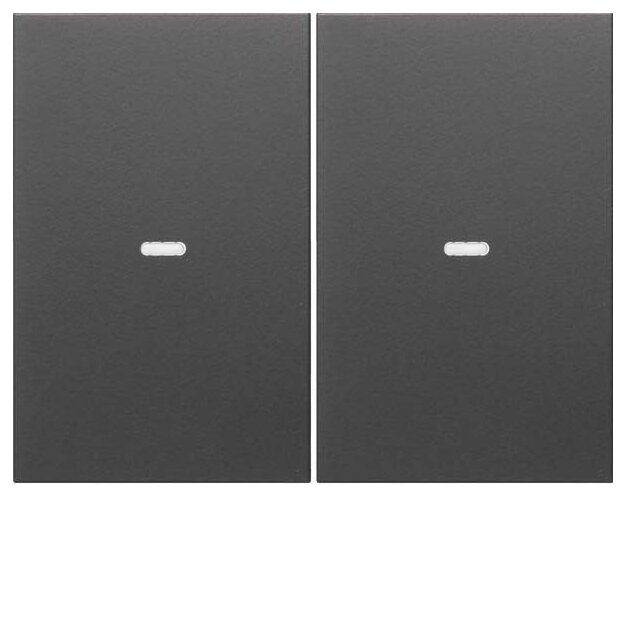 Berker 80960375 Abdeckung für Tastsensor-Modul 2-fach mit Linse K.1 Anthrazit matt