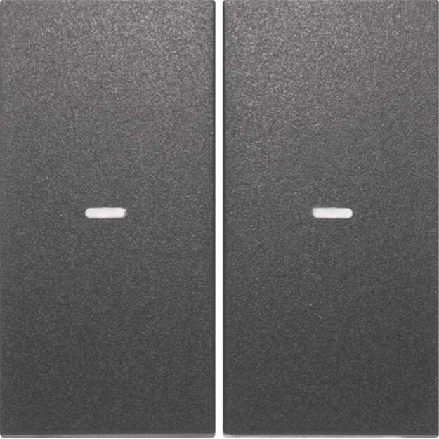 Berker 80960385 Abdeckung für Tastsensor-Modul 2-fach mit Linse S.1/B.x Anthrazit matt