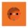 Jung LS1520BFKIO SCHUKO Steckdose KI (Thermoplast bruchsicher) Orange Serie LS