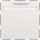 Berker 16409909 Relais-Schalter mit Zentralstück für Hotelcard Berker S.1/B.3/B.7 Polarweiß matt