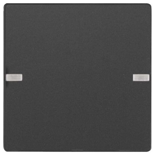 Berker 80141326 Tastsensor 1-fach Komfort mit Beschriftungsfeld KNX Q.x Anthrazit samt