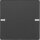 Berker 80141326 Tastsensor 1-fach Komfort mit Beschriftungsfeld KNX Q.x Anthrazit samt