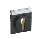 Busch-Jaeger 1755 SL/PZ-81-101 Zentralscheibe mit Beschriftungsfeld (Thermoplast) Anthrazit carat® 2CKA001710A3626