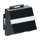 Busch-Jaeger 1758-81 Zentralscheibe mit Tragring (Thermoplast) Anthrazit carat® 2CKA001724A4253