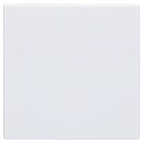 Busch-Jaeger 1576 C-914 Blindzentralscheibe (Thermoplast)...