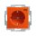 Busch-Jaeger 20 EUCB-14-914-10 SCHUKO® Steckdosen-Einsatz mit Aufdruck (Thermoplast) Orange 2CKA002013A5389